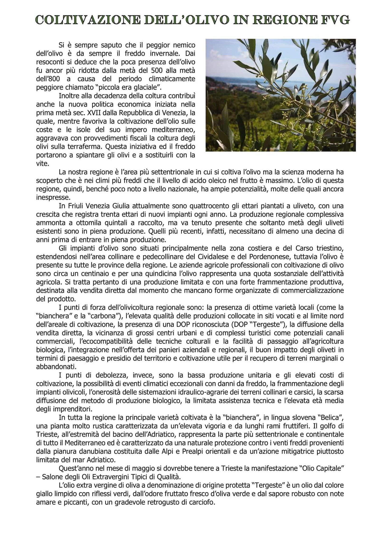Giornalino n°44 – Giugno 2019